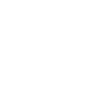 alternate logo - white (1)
